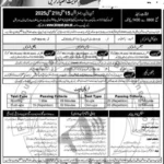 PAF Jobs 2025 online Apply